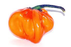 chile habanero